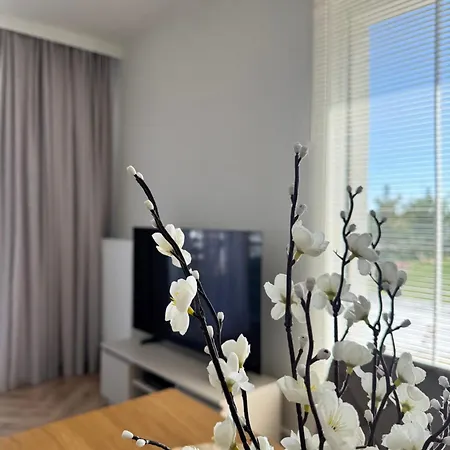 Pino Seaview I *