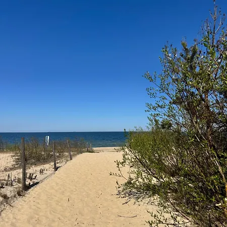 Pino Seaview I *